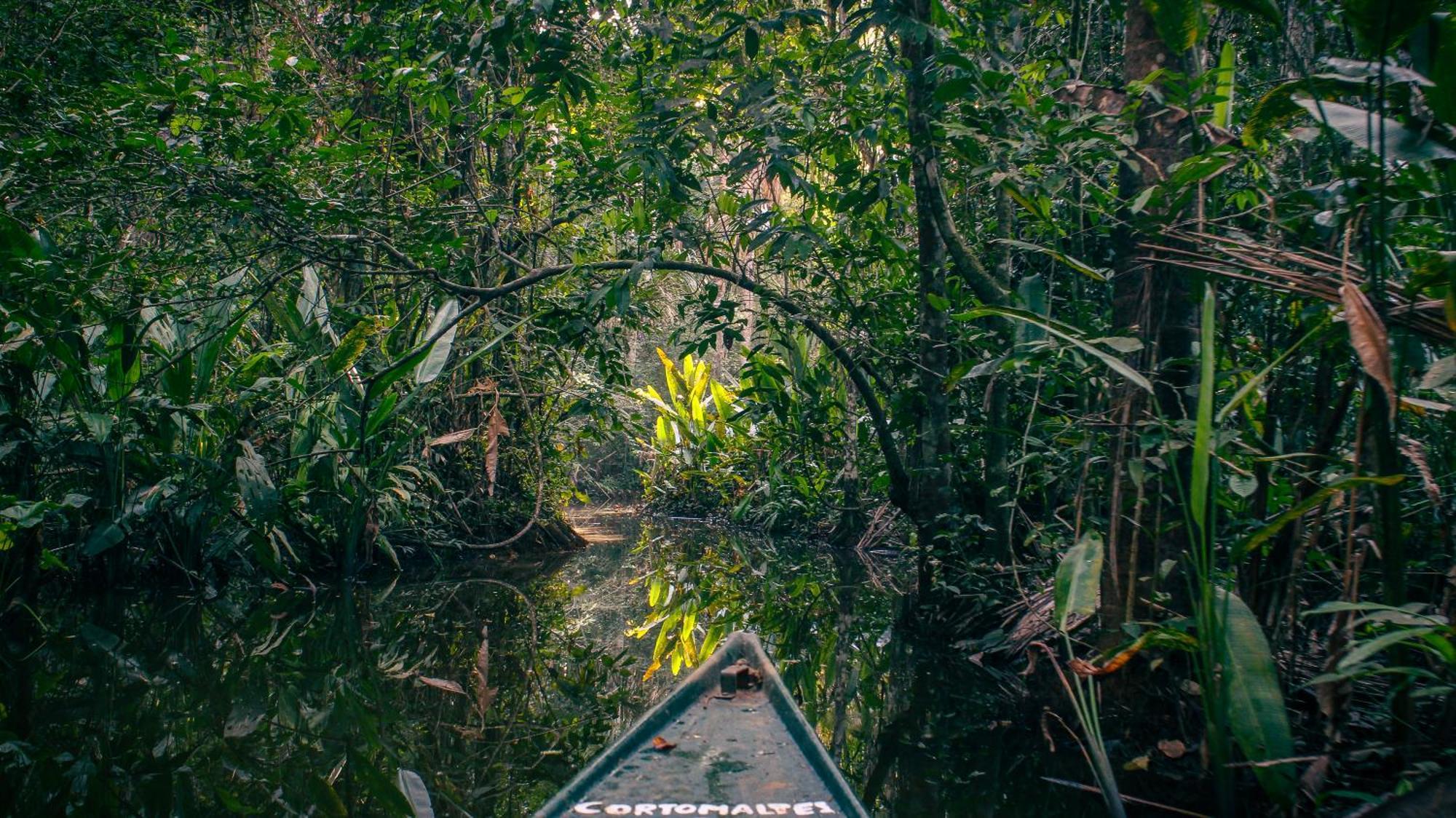 Corto Maltes Amazonia Lodge Puerto Maldonado Extérieur photo