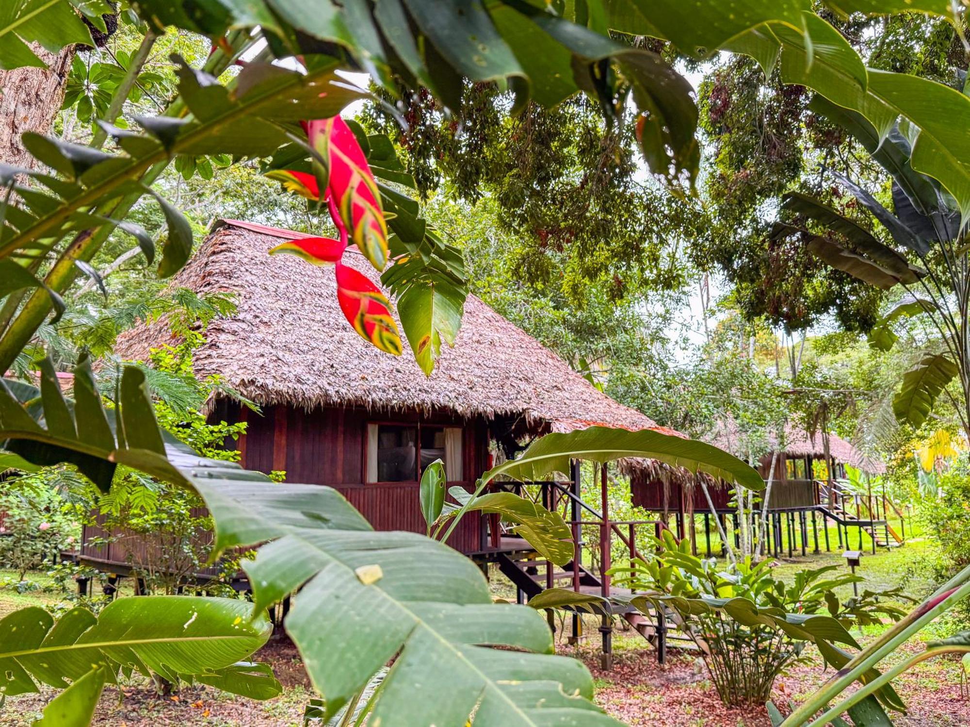 Corto Maltes Amazonia Lodge Puerto Maldonado Extérieur photo