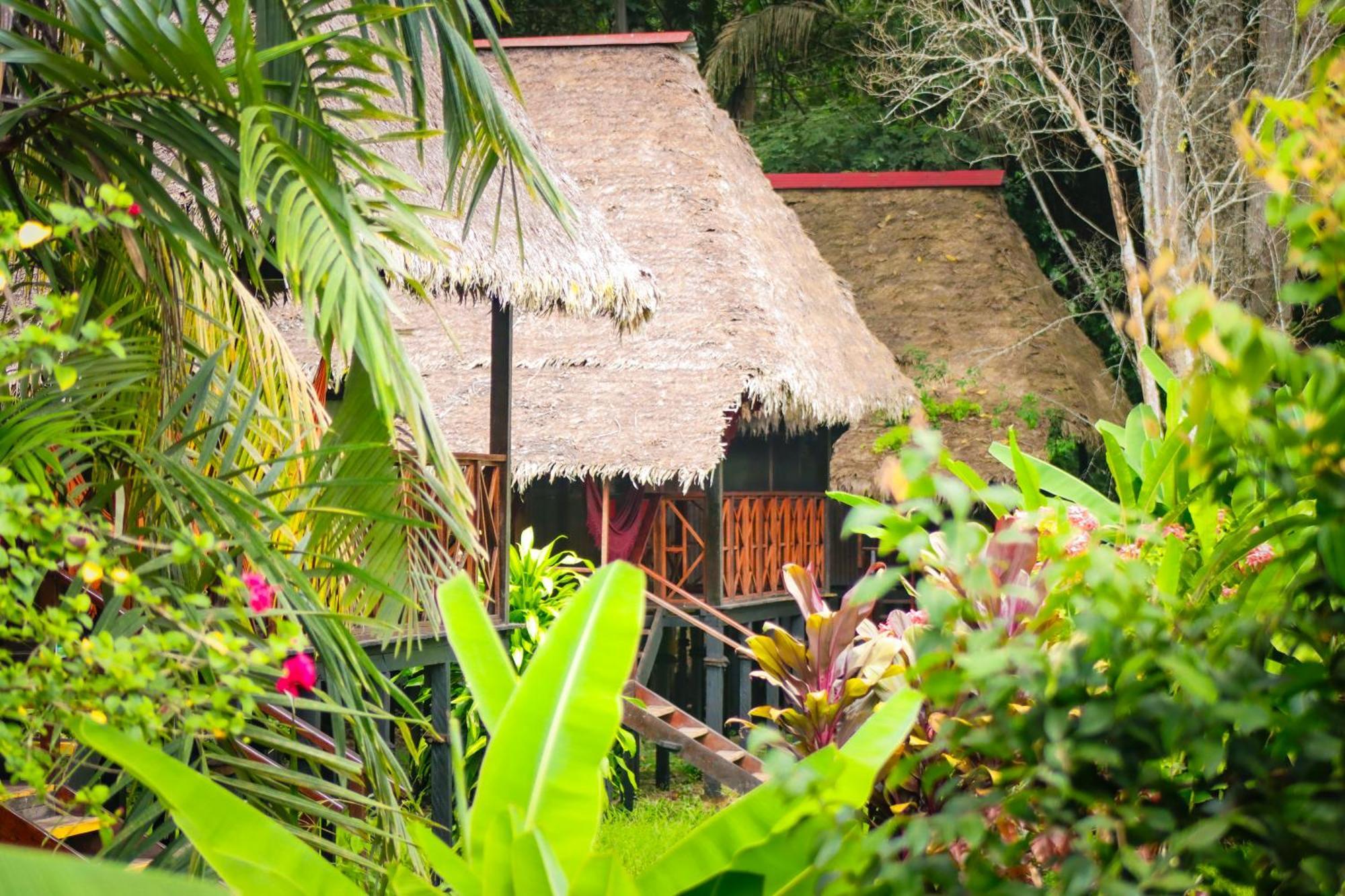 Corto Maltes Amazonia Lodge Puerto Maldonado Extérieur photo